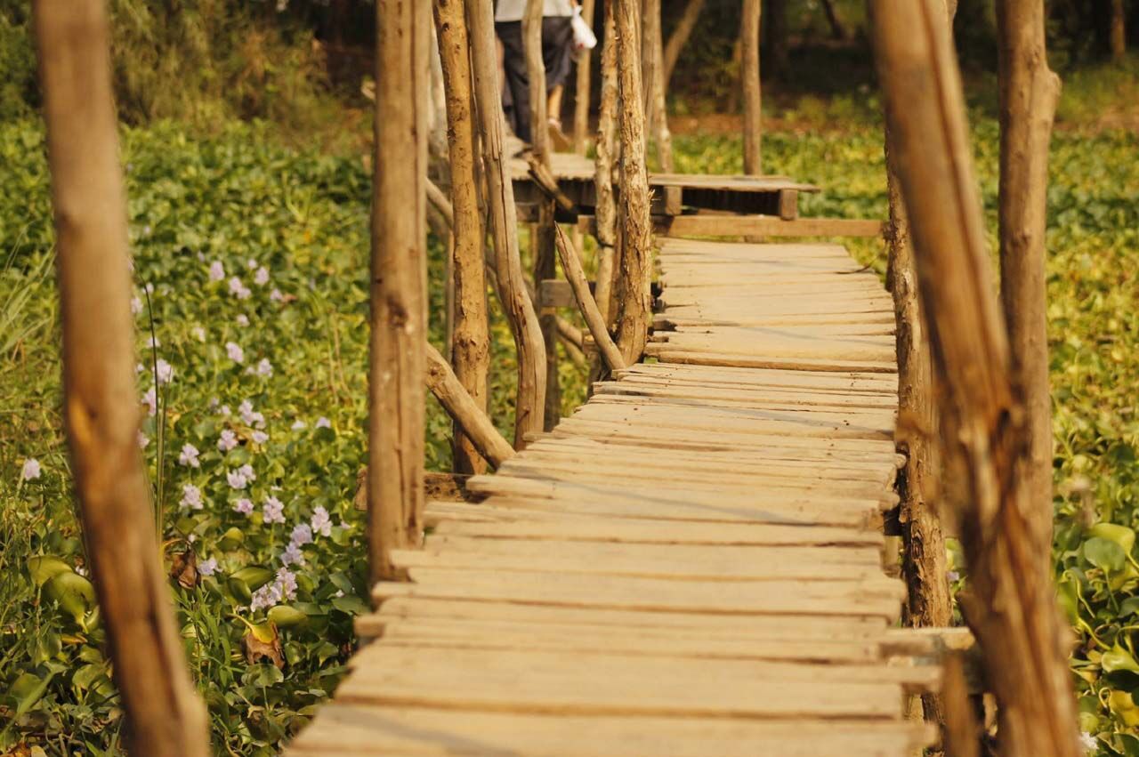 Start your golden visa-prepared journey with Vietnam’s vibrant glow